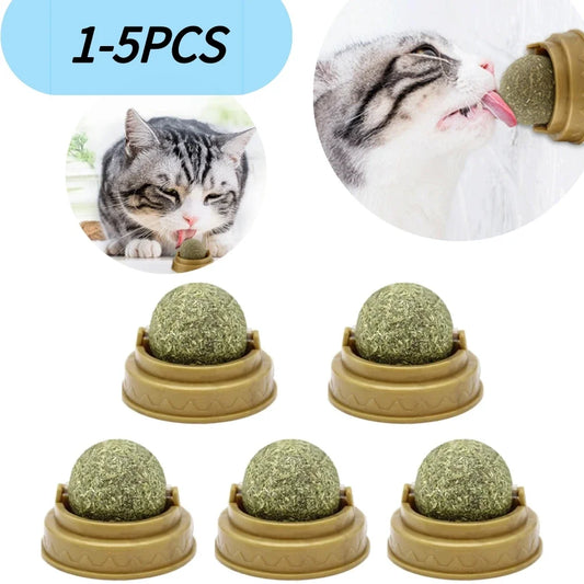 The Stomach Catmint- Edible Catnip Toy Ball
