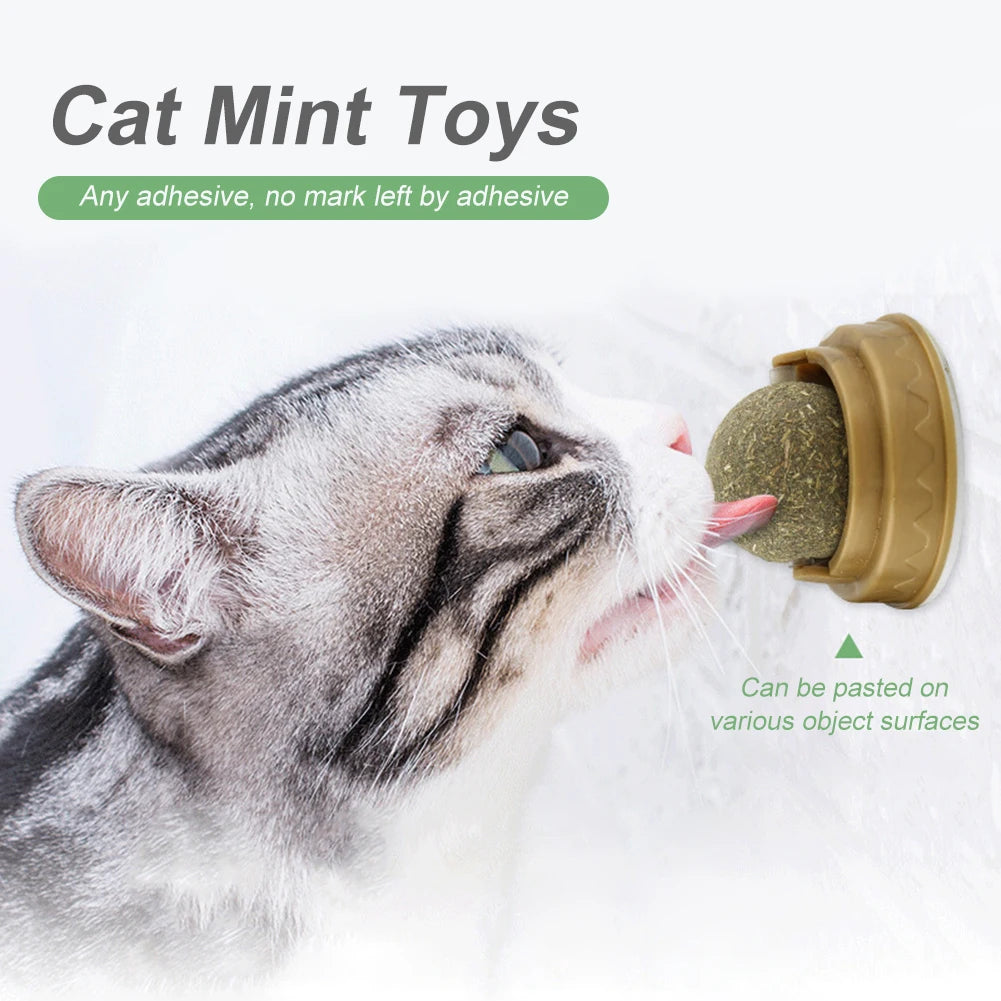 The Stomach Catmint- Edible Catnip Toy Ball